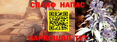 дживик Тулун
